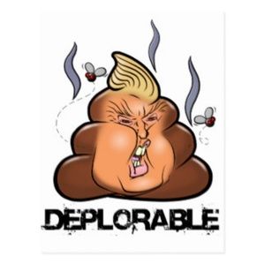 Meet your Posher, Hernando